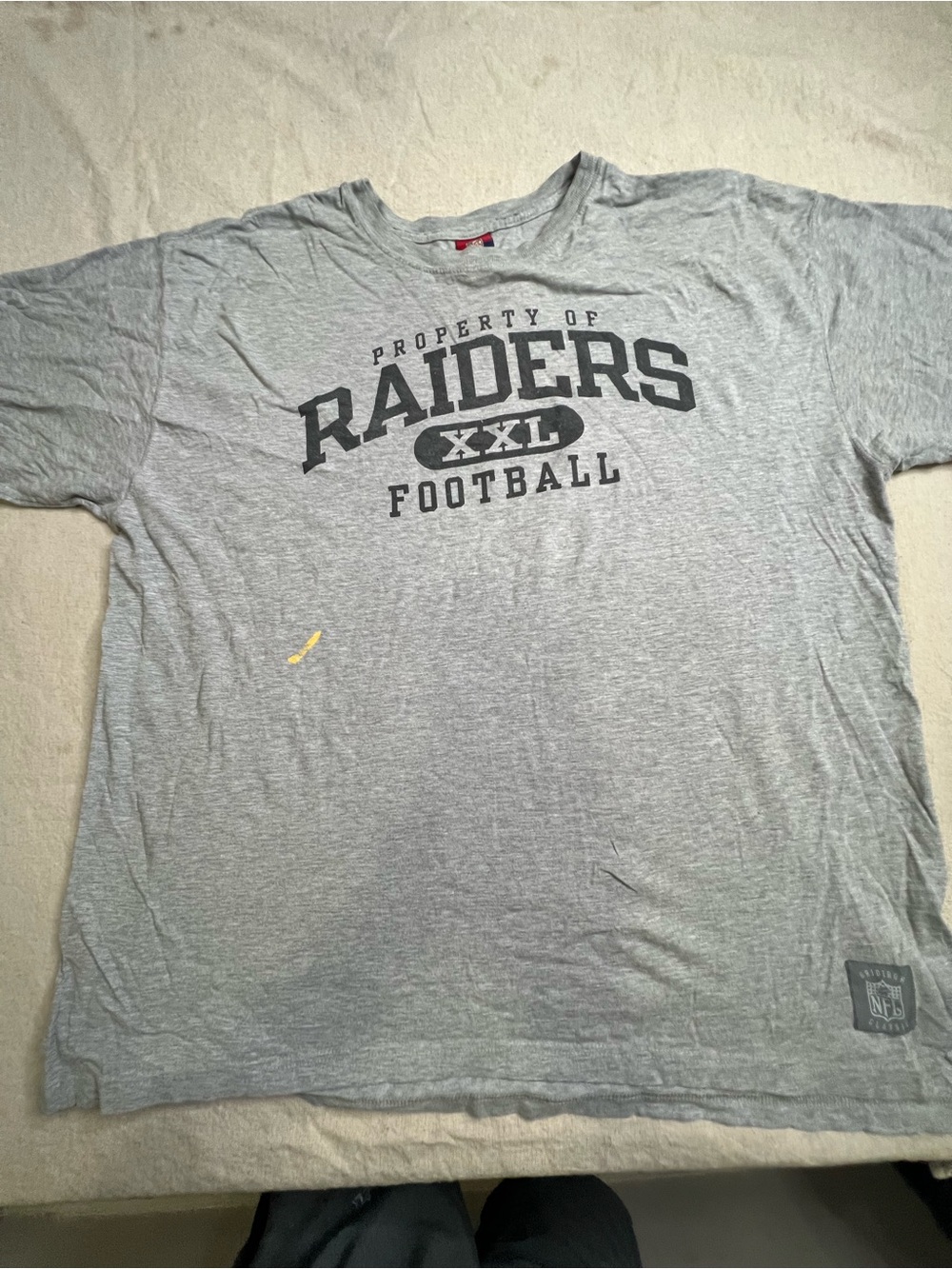 Reebok Gray Raiders Football Tee